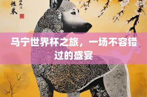 马宁世界杯之旅，一场不容错过的盛宴
