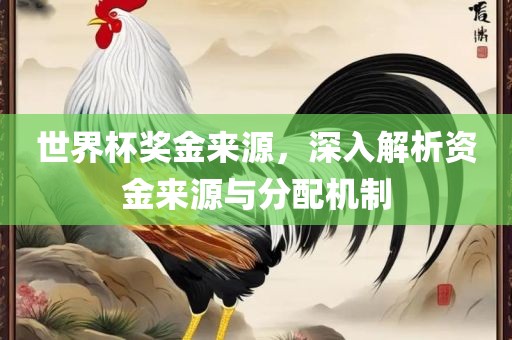 世界杯奖金来源，深入解析资金来源与分配机制
