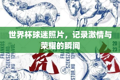 世界杯球迷照片，记录激情与荣耀的瞬间