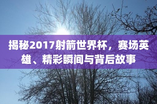 揭秘2017射箭世界杯，赛场英雄、精彩瞬间与背后故事