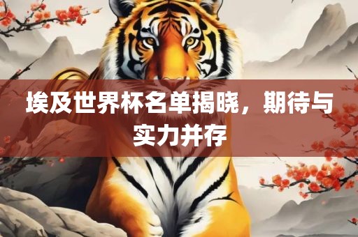 埃及世界杯名单揭晓，期待与实力并存
