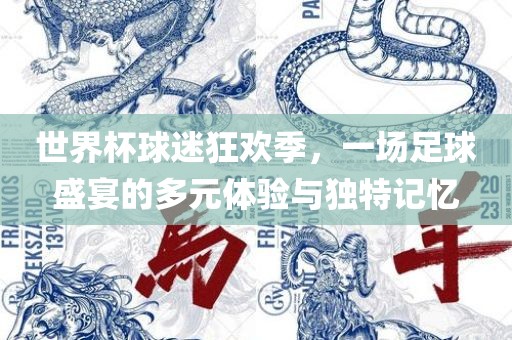 世界杯球迷狂欢季，一场足球盛宴的多元体验与独特记忆