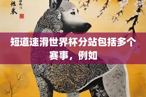 短道速滑世界杯分站包括多个赛事，例如