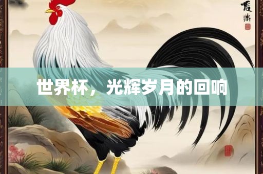 世界杯，光辉岁月的回响