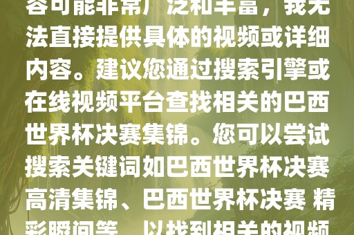 由于巴西世界杯决赛集锦的内容可能非常广泛和丰富，我无法直接提供具体的视频或详细内容。建议您通过搜索引擎或在线视频平台查找相关的巴西世界杯决赛集锦。您可以尝试搜索关键词如巴西世界杯决赛 高清集锦、巴西世界杯决赛 精彩瞬间等，以找到相关的视频和报道。