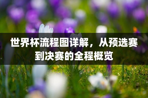 世界杯流程图详解，从预选赛到决赛的全程概览