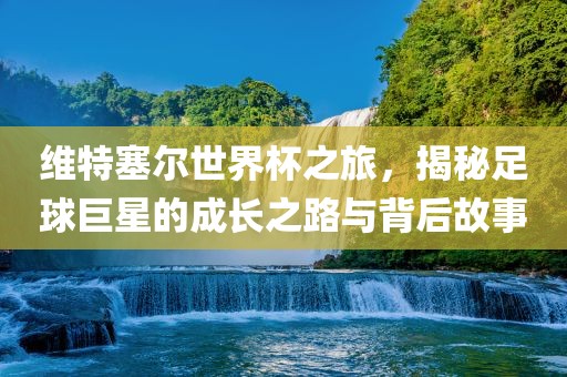 维特塞尔世界杯之旅，揭秘足球巨星的成长之路与背后故事