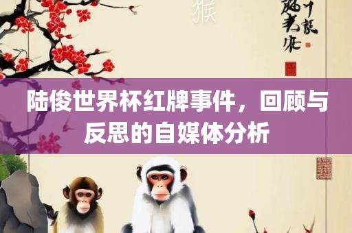 陆俊世界杯红牌事件，回顾与反思的自媒体分析