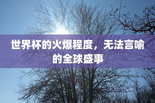 世界杯的火爆程度，无法言喻的全球盛事