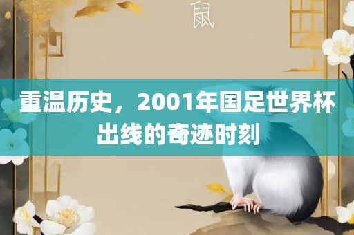 重温历史，2001年国足世界杯出线的奇迹时刻