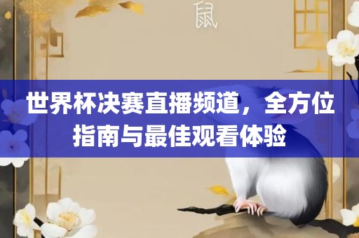 世界杯决赛直播频道，全方位指南与最佳观看体验