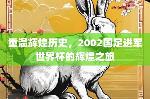 重温辉煌历史，2002国足进军世界杯的辉煌之旅