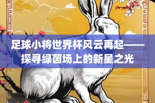 足球小将世界杯风云再起——探寻绿茵场上的新星之光