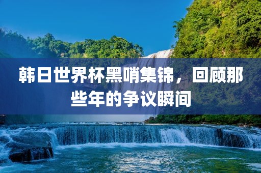 韩日世界杯黑哨集锦，回顾那些年的争议瞬间