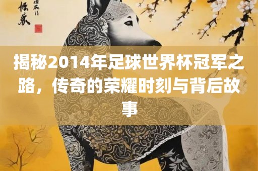 揭秘2014年足球世界杯冠军之路，传奇的荣耀时刻与背后故事