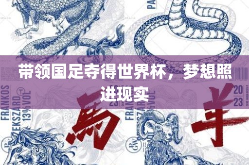 带领国足夺得世界杯，梦想照进现实