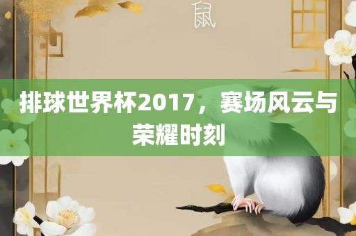 排球世界杯2017，赛场风云与荣耀时刻