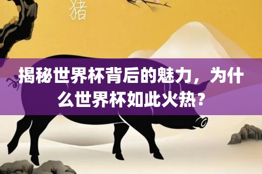 揭秘世界杯背后的魅力，为什么世界杯如此火热？
