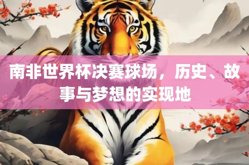 南非世界杯决赛球场，历史、故事与梦想的实现地