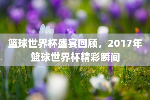 篮球世界杯盛宴回顾，2017年篮球世界杯精彩瞬间
