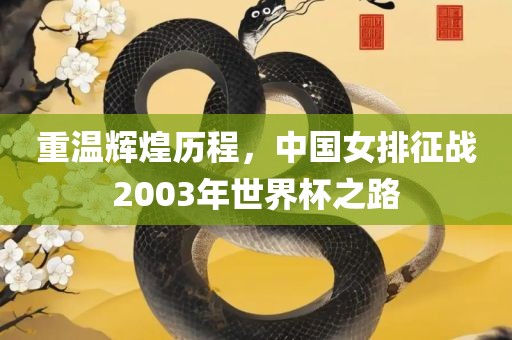 重温辉煌历程，中国女排征战2003年世界杯之路
