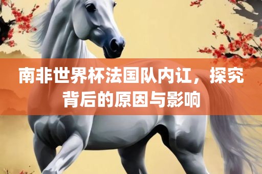 南非世界杯法国队内讧，探究背后的原因与影响