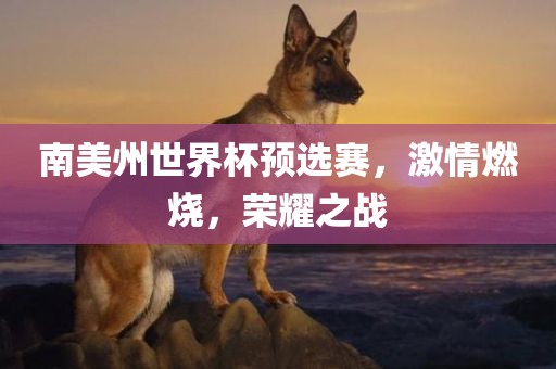 南美州世界杯预选赛，激情燃烧，荣耀之战