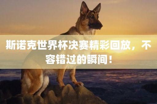 斯诺克世界杯决赛精彩回放，不容错过的瞬间！