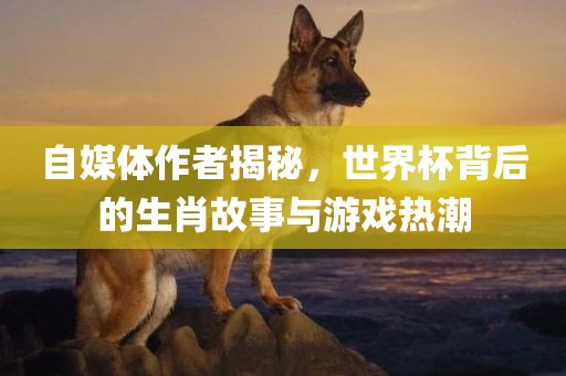 自媒体作者揭秘，世界杯背后的生肖故事与游戏热潮