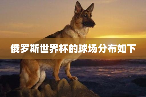 俄罗斯世界杯的球场分布如下