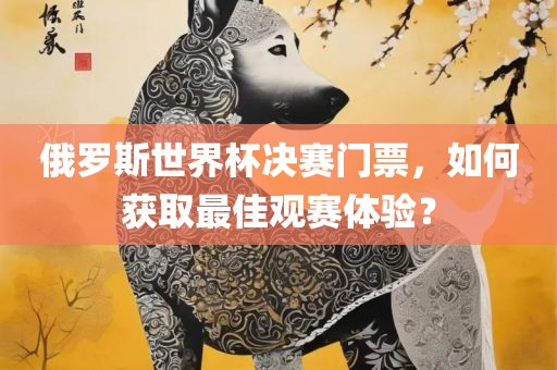 俄罗斯世界杯决赛门票，如何获取最佳观赛体验？