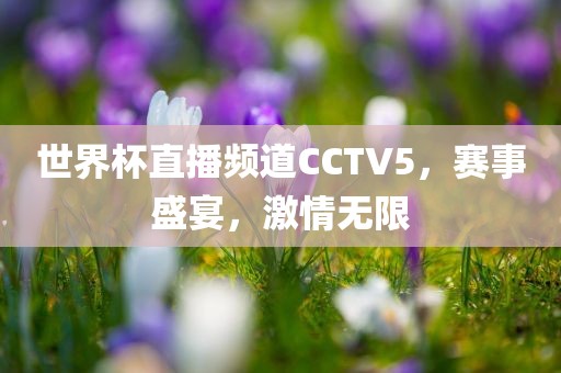 世界杯直播频道CCTV5，赛事盛宴，激情无限