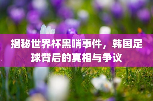 揭秘世界杯黑哨事件，韩国足球背后的真相与争议
