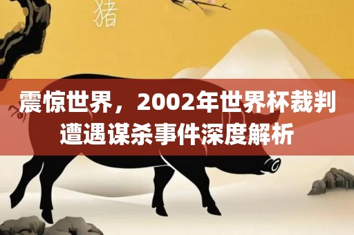 震惊世界，2002年世界杯裁判遭遇谋杀事件深度解析