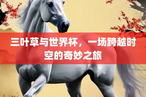 三叶草与世界杯，一场跨越时空的奇妙之旅