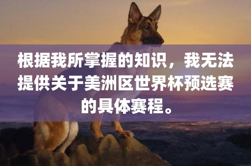 根据我所掌握的知识，我无法提供关于美洲区世界杯预选赛的具体赛程。