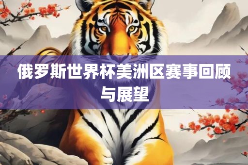 俄罗斯世界杯美洲区赛事回顾与展望