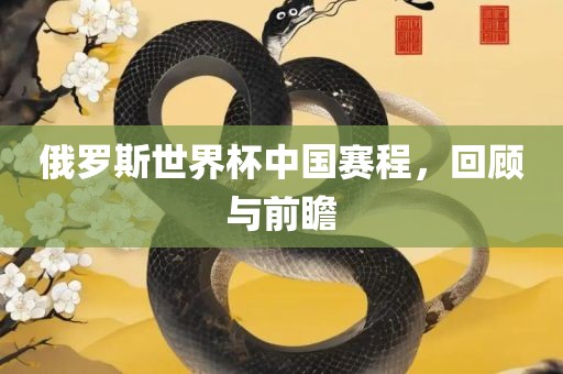 俄罗斯世界杯中国赛程，回顾与前瞻