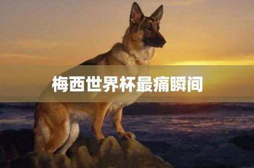 梅西世界杯最痛瞬间