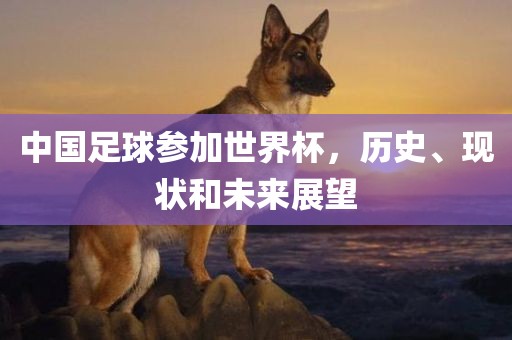 中国足球参加世界杯，历史、现状和未来展望