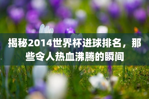 揭秘2014世界杯进球排名，那些令人热血沸腾的瞬间