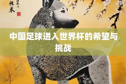 中国足球进入世界杯的希望与挑战