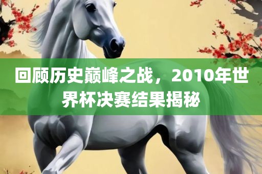 回顾历史巅峰之战，2010年世界杯决赛结果揭秘
