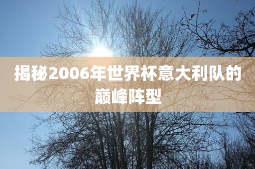 揭秘2006年世界杯意大利队的巅峰阵型