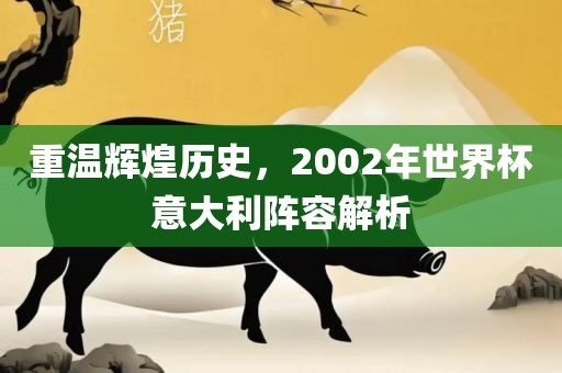 重温辉煌历史，2002年世界杯意大利阵容解析