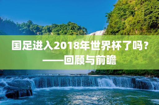 国足进入2018年世界杯了吗？——回顾与前瞻