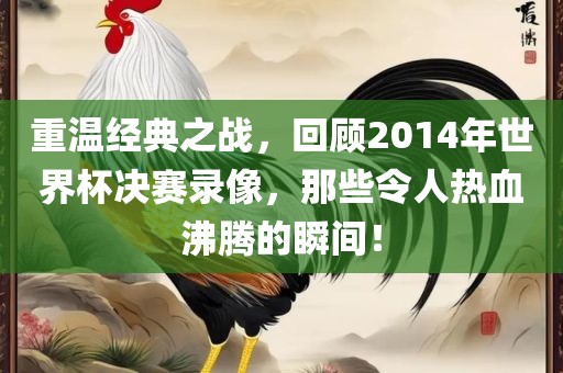 重温经典之战，回顾2014年世界杯决赛录像，那些令人热血沸腾的瞬间！