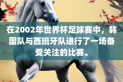 在2002年世界杯足球赛中，韩国队与西班牙队进行了一场备受关注的比赛。