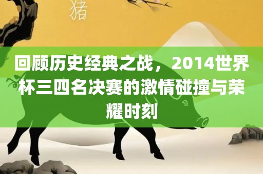 回顾历史经典之战，2014世界杯三四名决赛的激情碰撞与荣耀时刻