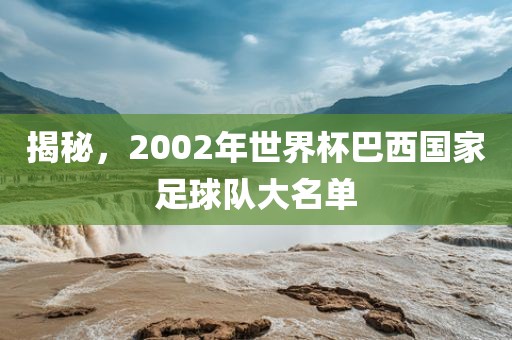 揭秘，2002年世界杯巴西国家足球队大名单